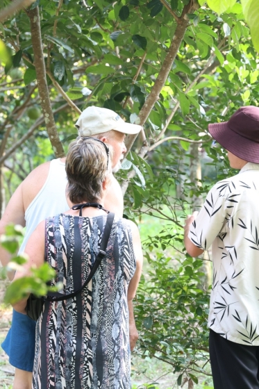 Tham Quan Vườn Trái Cây 