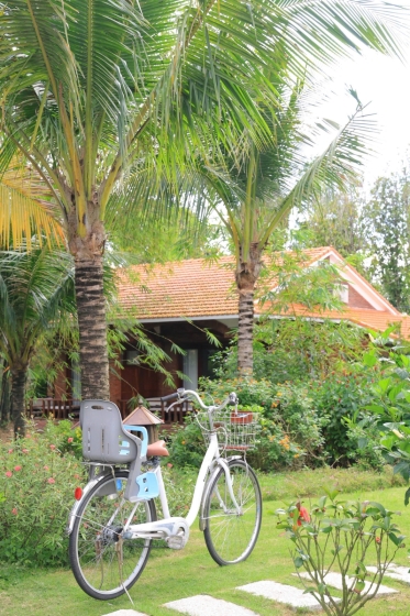 Xe Đạp Miễn Phí 