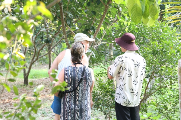 Tham Quan Vườn Trái Cây 