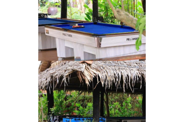 Trò chơi giải trí 