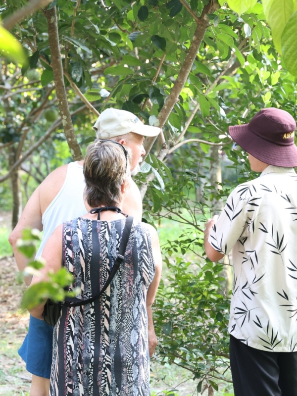 Tham Quan Vườn Trái Cây 