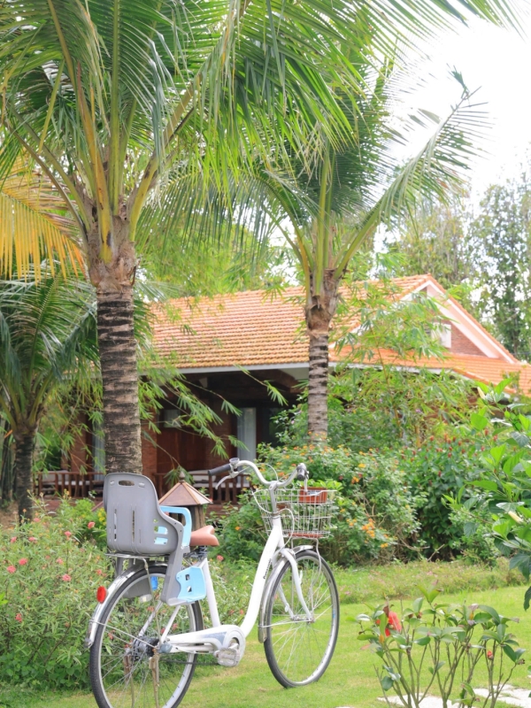 Xe Đạp Miễn Phí 