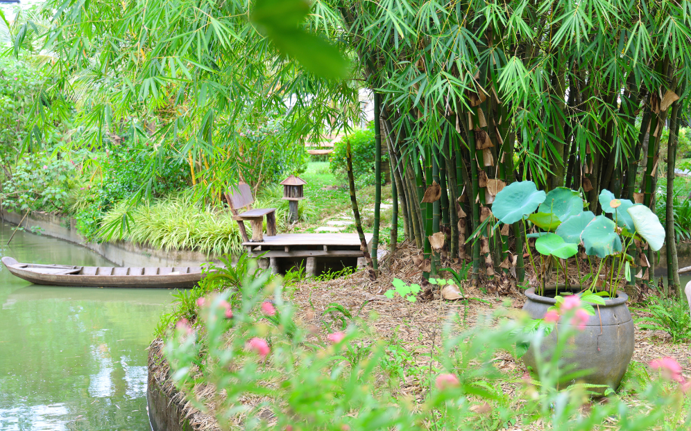 PHI YẾN ECO RESORT